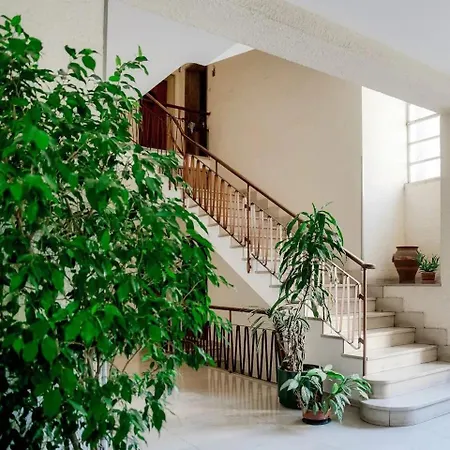 Appartement Rent In 1
