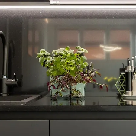 Rent In 1 Apartamento